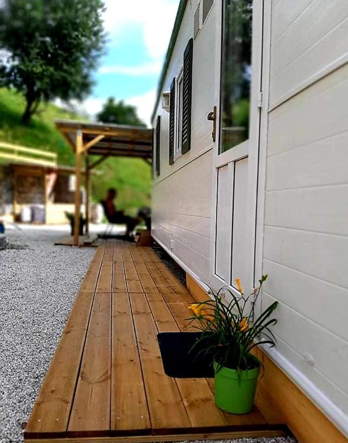 Lexi Zen House Lägenhet Kamnik Exteriör bild